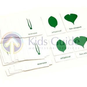 Botany Leaf Nomenclature Cards