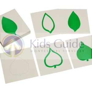 Botany Leaf Cards